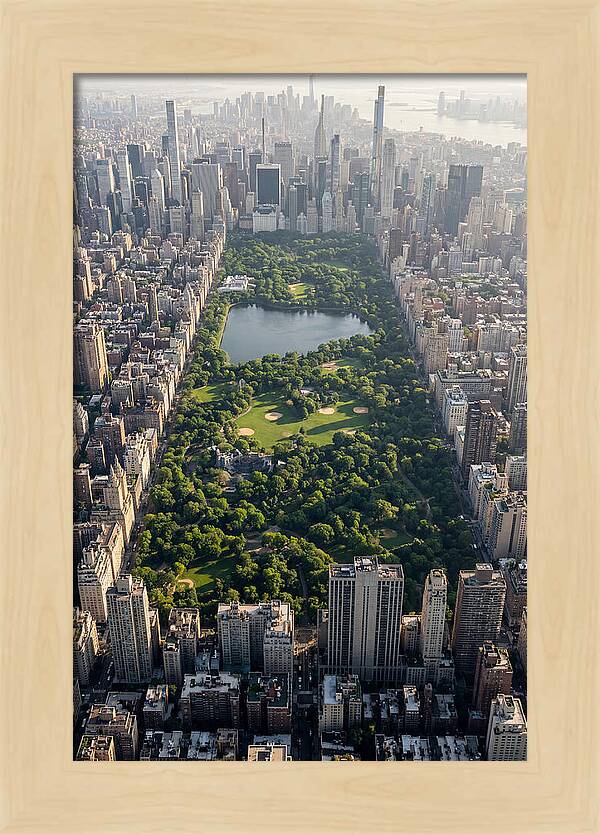 Central Park Aerial View