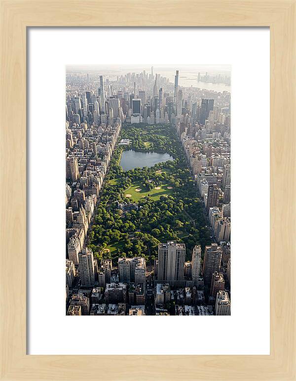 Central Park Aerial View