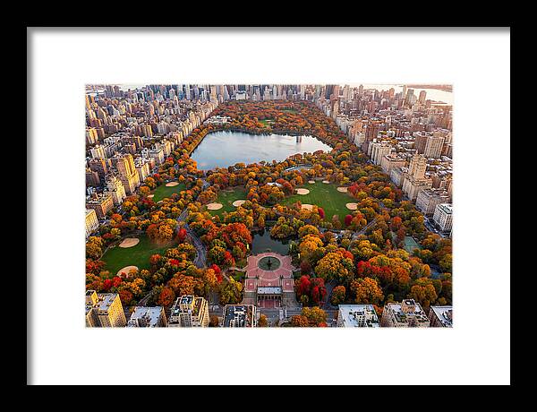 Central Park In Autumn Glory