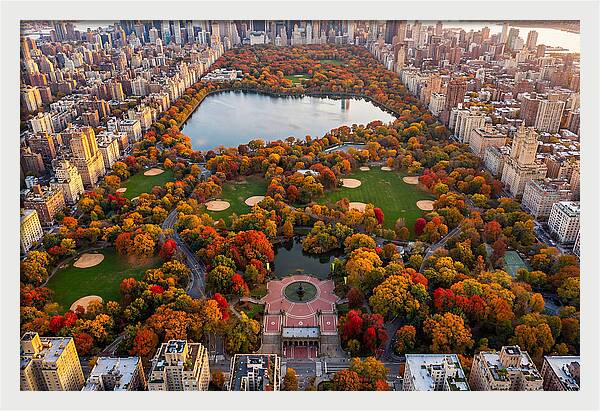 Central Park In Autumn Glory