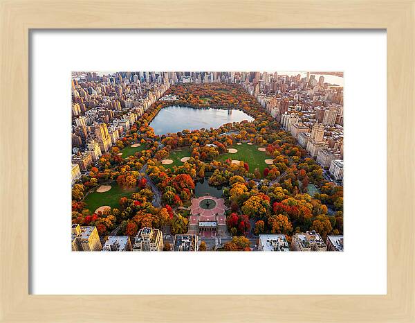 Central Park In Autumn Glory