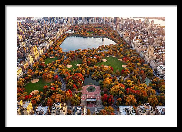 Central Park In Autumn Glory