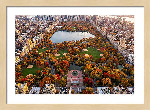 Central Park In Autumn Glory