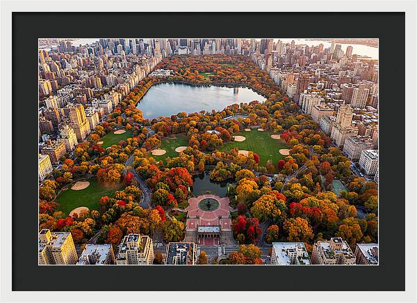 Central Park In Autumn Glory