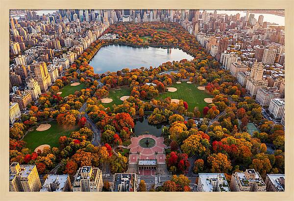 Central Park In Autumn Glory