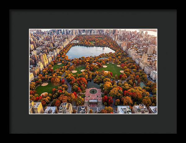 Central Park In Autumn Glory