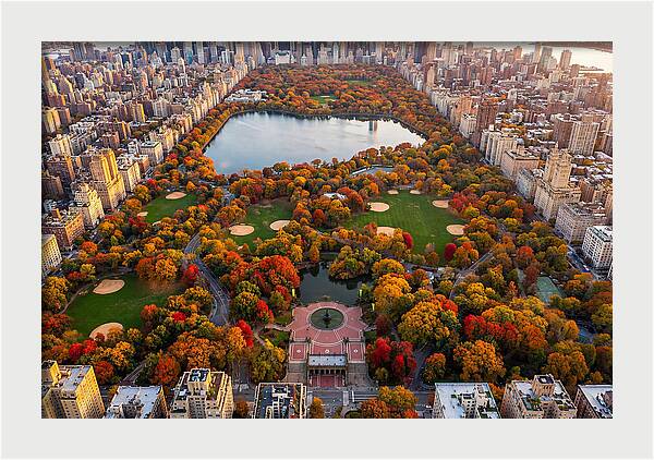 Central Park In Autumn Glory