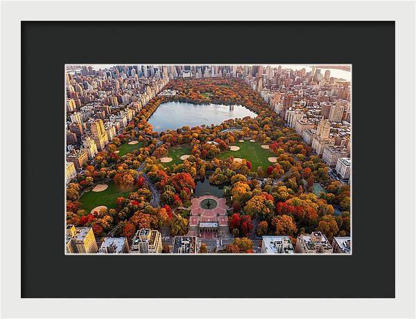 Central Park In Autumn Glory