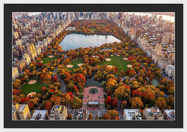 Central Park In Autumn Glory