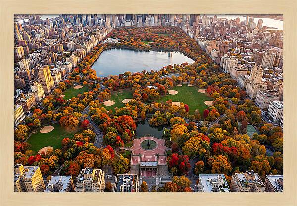 Central Park In Autumn Glory