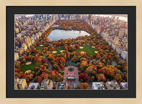 Central Park In Autumn Glory