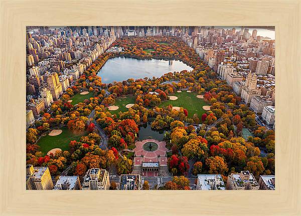 Central Park In Autumn Glory