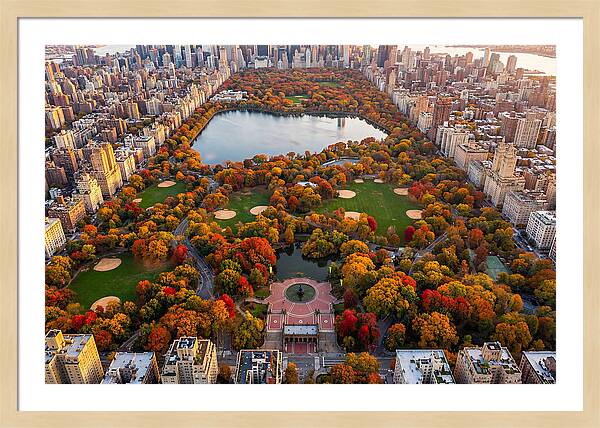 Central Park In Autumn Glory