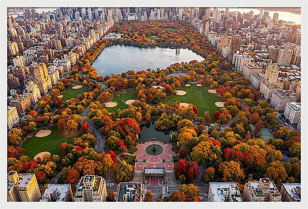 Central Park In Autumn Glory