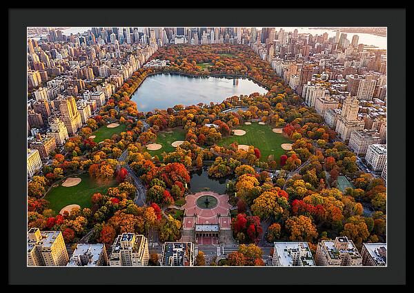 Central Park In Autumn Glory