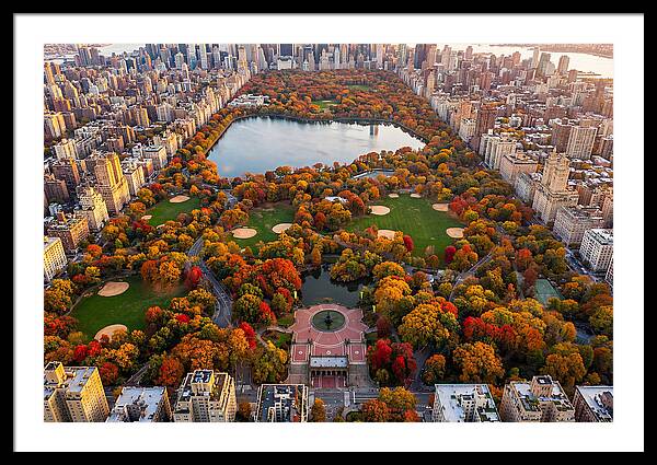 Central Park In Autumn Glory