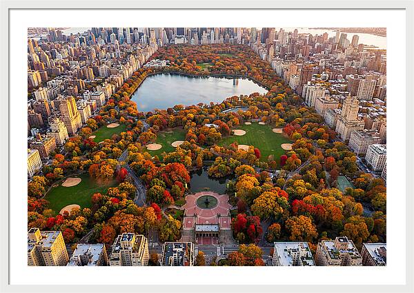 Central Park In Autumn Glory