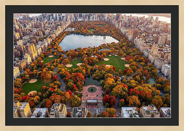 Central Park In Autumn Glory