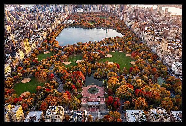 Central Park In Autumn Glory