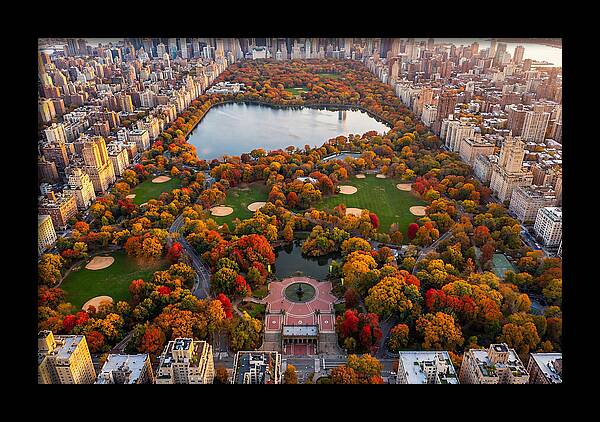 Central Park In Autumn Glory