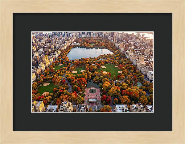 Central Park In Autumn Glory