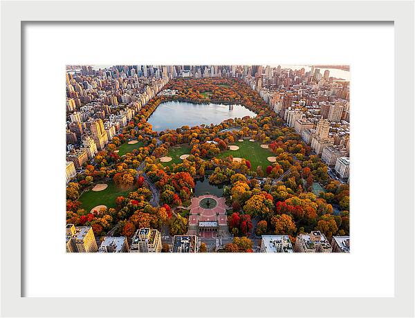 Central Park In Autumn Glory