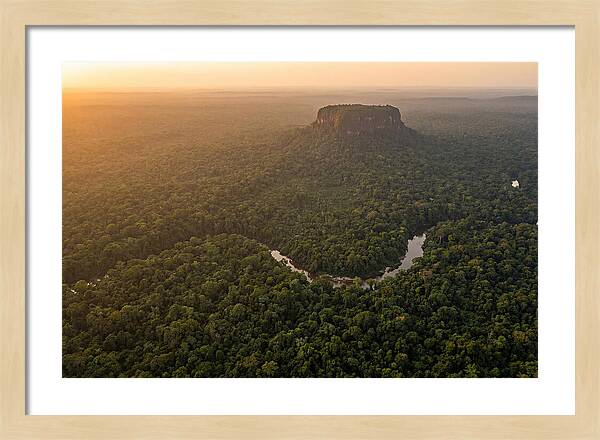 Central Suriname Nature Reserve Aerial View