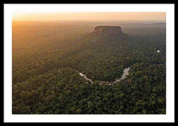 Central Suriname Nature Reserve Aerial View