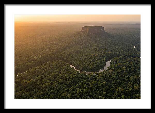 Central Suriname Nature Reserve Aerial View