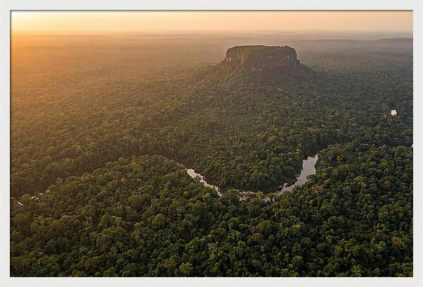 Central Suriname Nature Reserve Aerial View