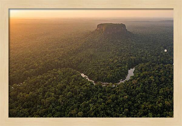 Central Suriname Nature Reserve Aerial View