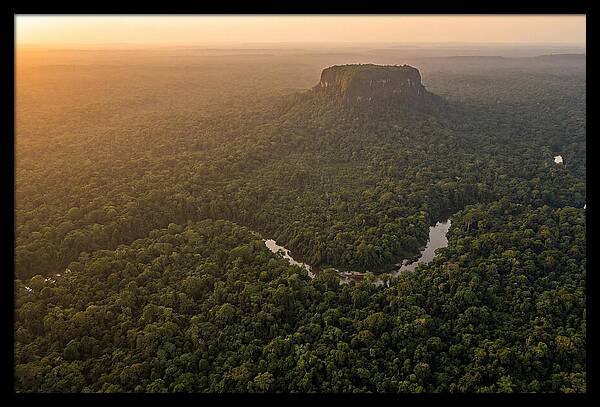 Central Suriname Nature Reserve Aerial View
