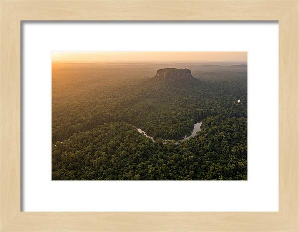 Central Suriname Nature Reserve Aerial View