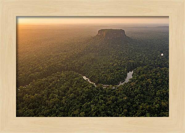 Central Suriname Nature Reserve Aerial View