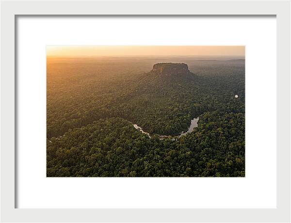 Central Suriname Nature Reserve Aerial View