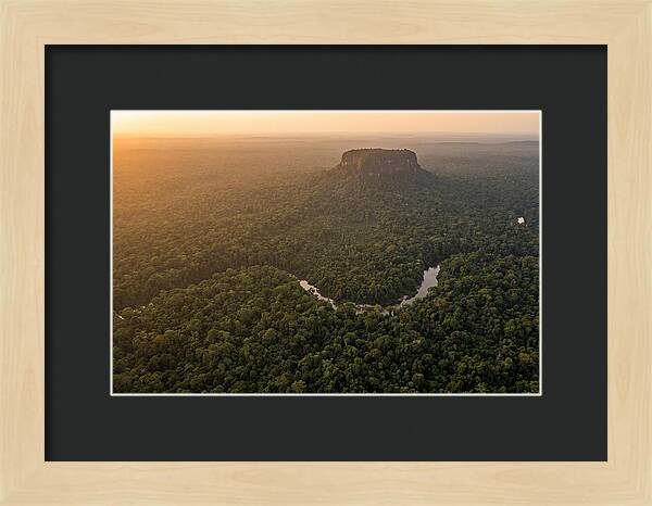 Central Suriname Nature Reserve Aerial View