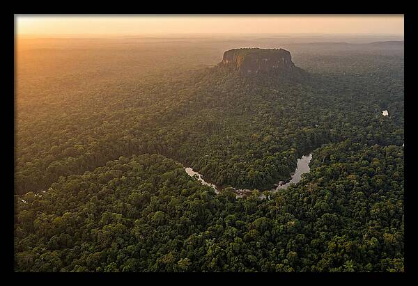 Central Suriname Nature Reserve Aerial View