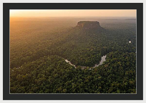 Central Suriname Nature Reserve Aerial View