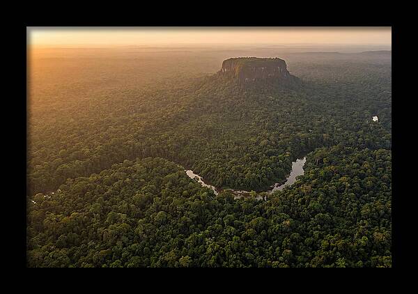 Central Suriname Nature Reserve Aerial View