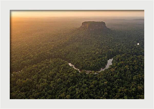 Central Suriname Nature Reserve Aerial View