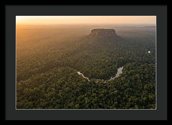 Central Suriname Nature Reserve Aerial View