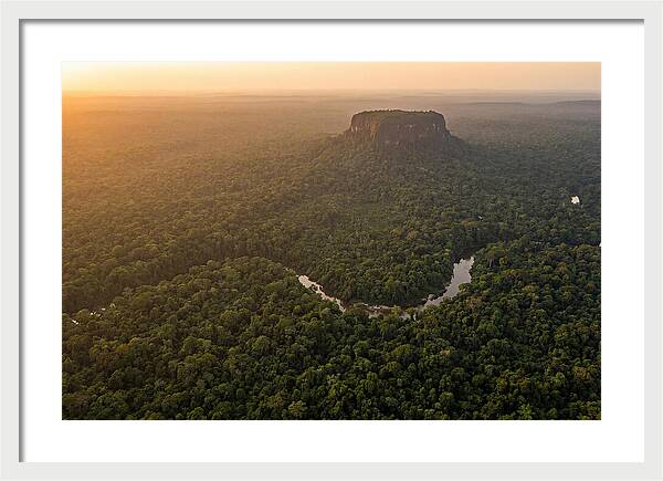 Central Suriname Nature Reserve Aerial View