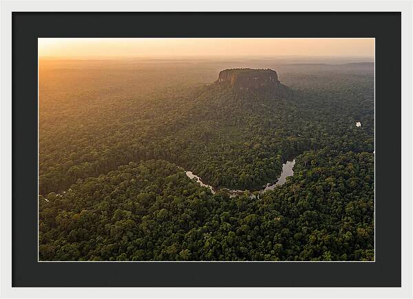 Central Suriname Nature Reserve Aerial View