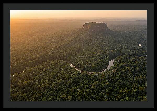 Central Suriname Nature Reserve Aerial View