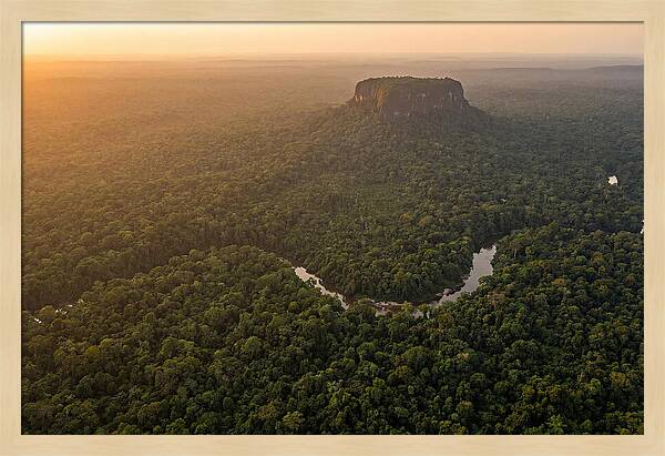 Central Suriname Nature Reserve Aerial View