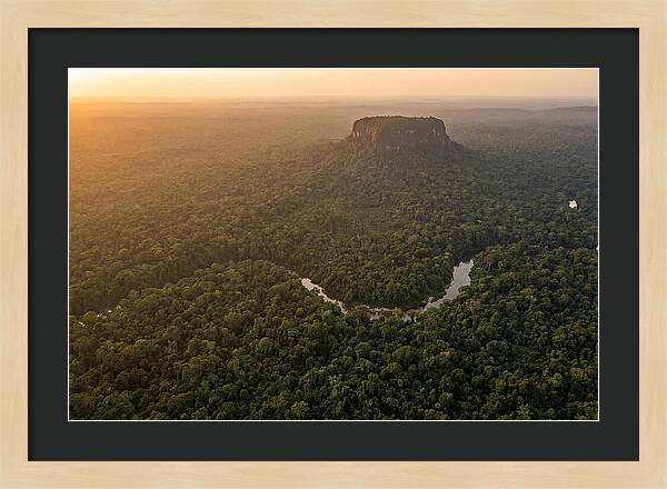 Central Suriname Nature Reserve Aerial View