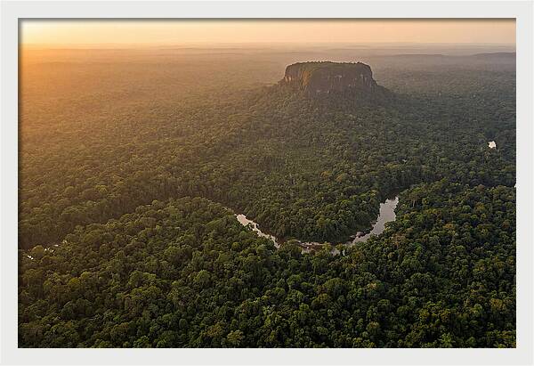 Central Suriname Nature Reserve Aerial View