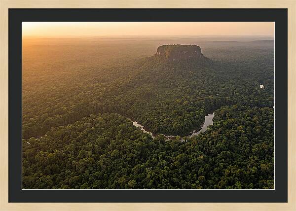 Central Suriname Nature Reserve Aerial View