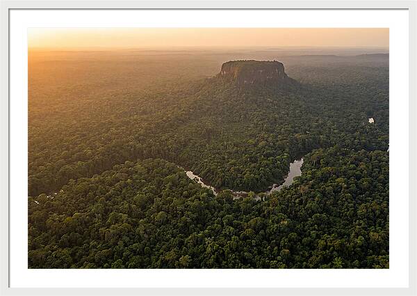 Central Suriname Nature Reserve Aerial View