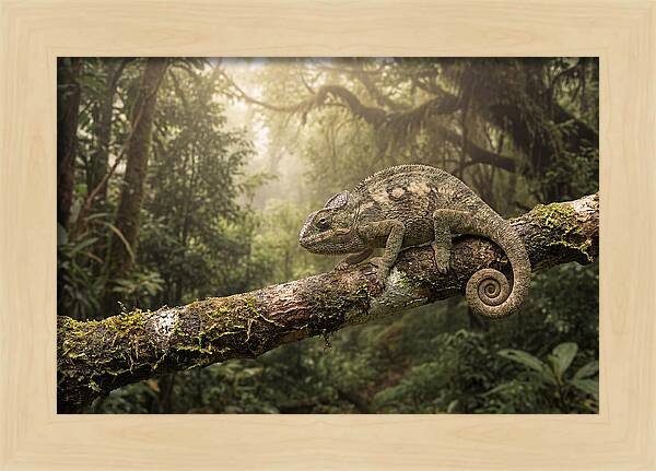 Chameleon On Tropical Branch